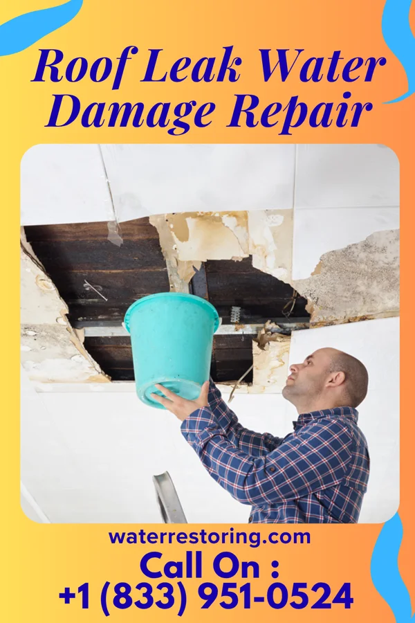 Roof Leak Water Damage Repair in North Henderson, IL