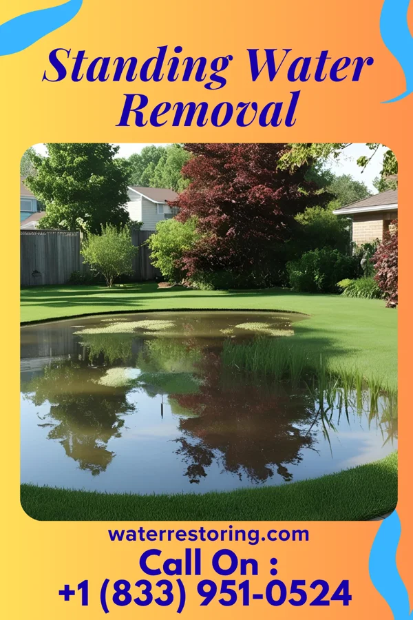 Standing Water Removal in North Henderson, IL